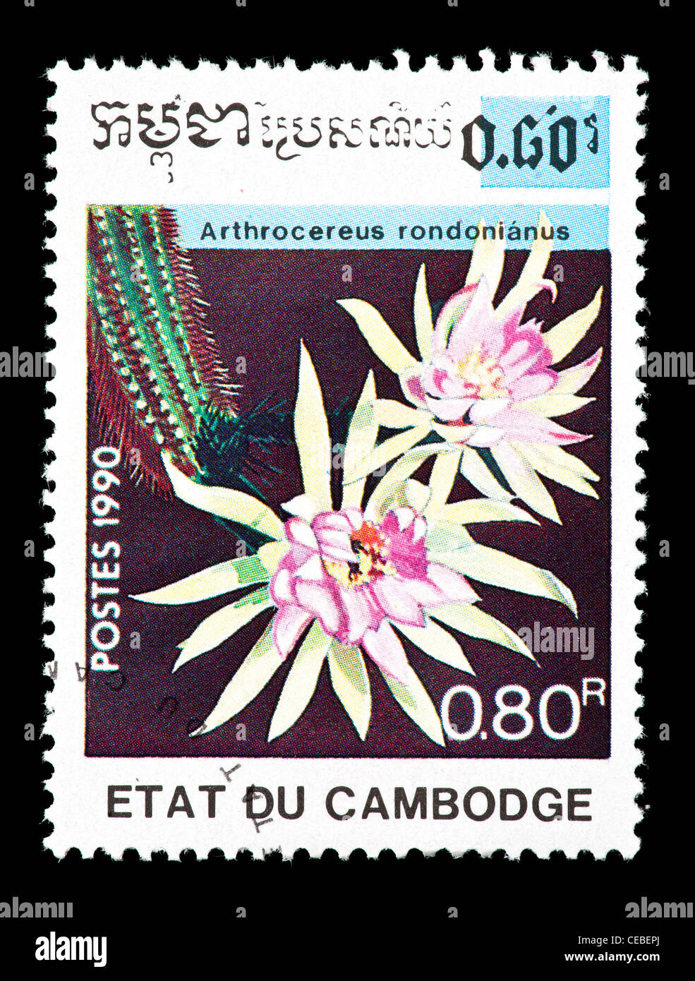 Postage stamp from Cambodia depicting a cactus flower (Arthrocereus rondonianus) Stock Photo