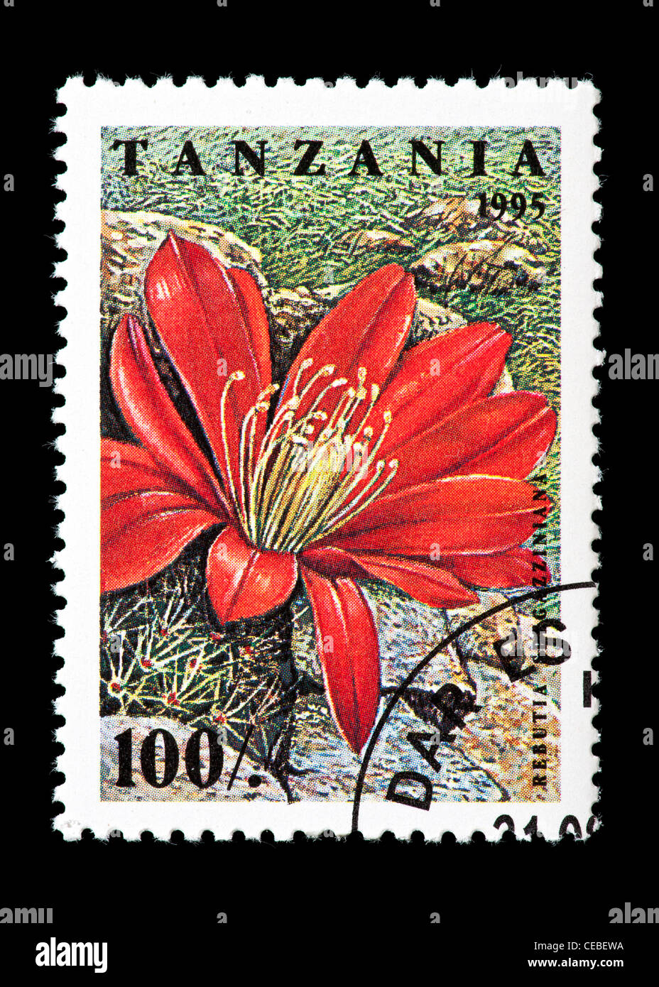 Postage stamp from Tanzania depicting a cactus flower (Rebutia spegazziniana) Stock Photo