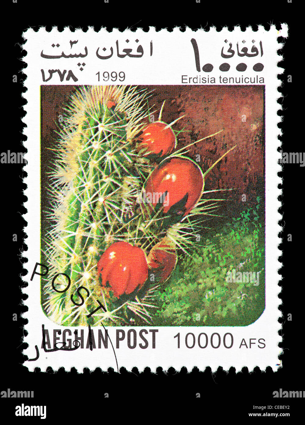 Postage stamp from Afghanistan depicting flowering cacti (Erdisia tenuicula). Stock Photo