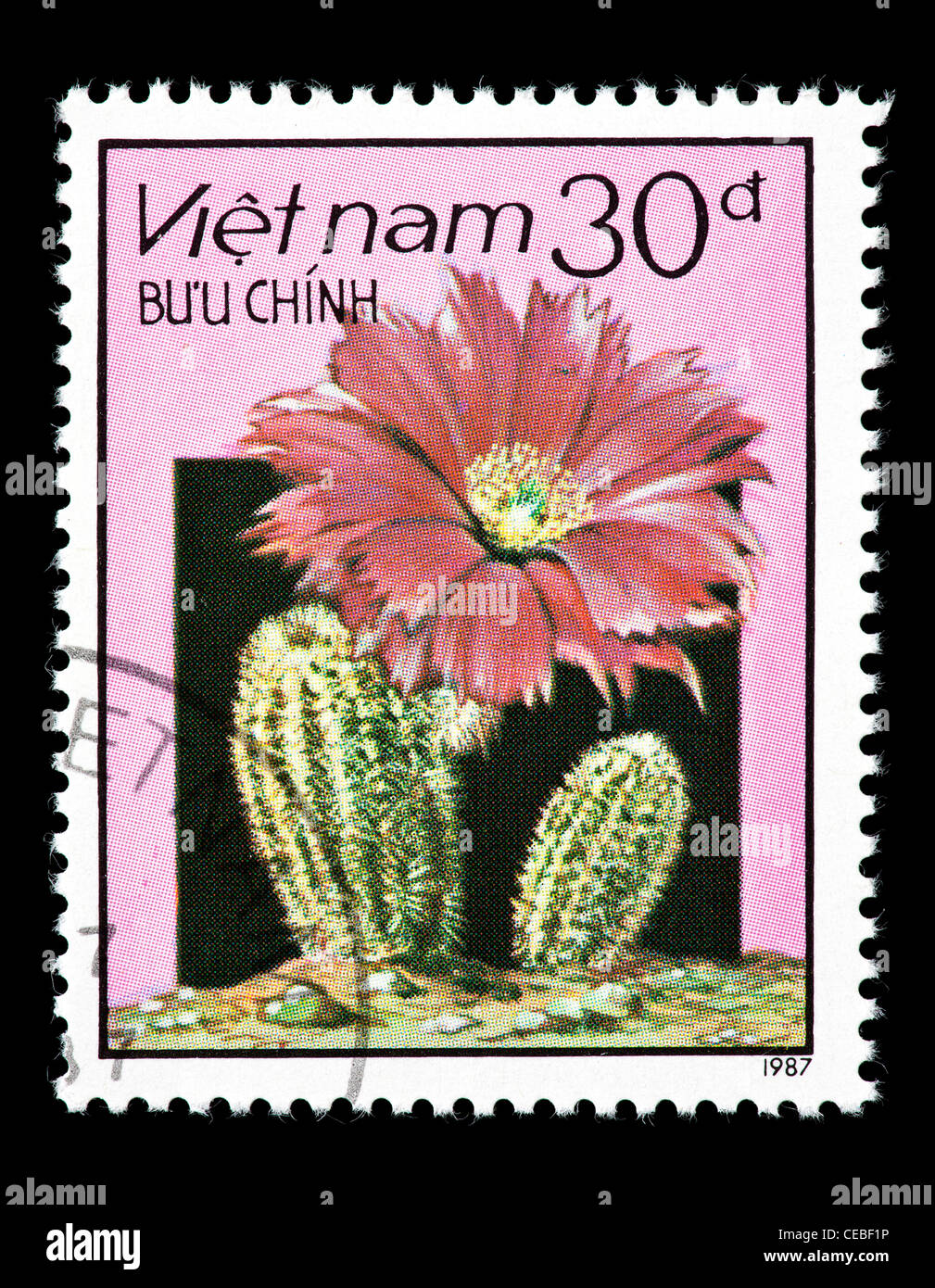 Postage stamp from Vietnam depicting flowering cacti Stock Photo - Alamy