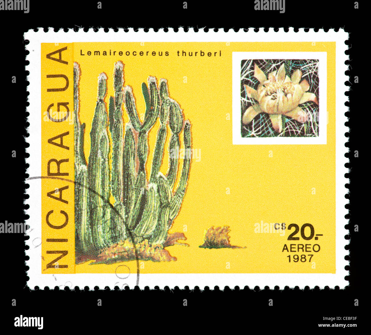 Postage stamp from Nicaragua depicting cacti and flowers (Lemaireocereus thurberi) Stock Photo