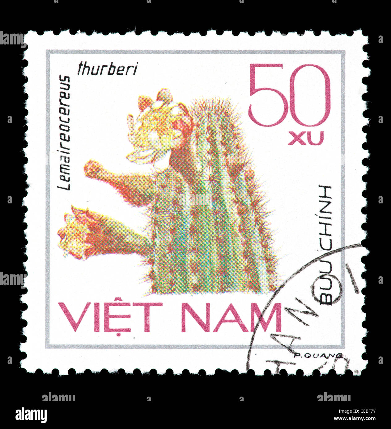 Postage stamp from Vietnam depicting a flowering cactus (Lemaireocereus thurberi) Stock Photo