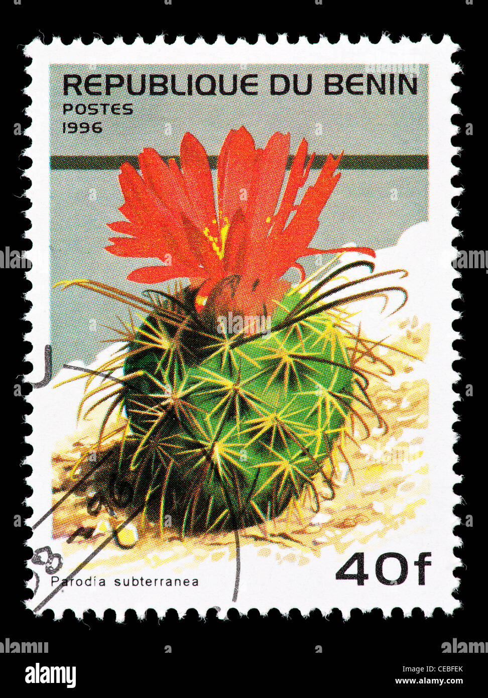 Postage stamp from Benin depicting a flowering cactus (Parodia subterranea) Stock Photo