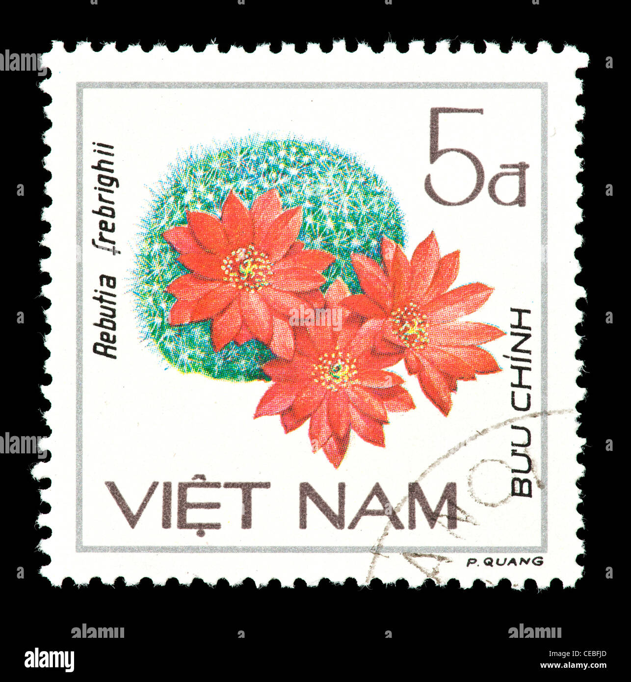 Postage stamp from Vietnam depicting a flowering cactus (Rebutia frebrighii) Stock Photo