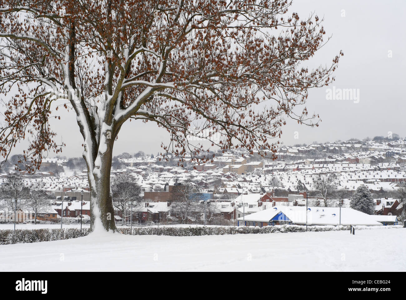 Snow at Hillsborough Park in Northern Sheffield Stock Photo Alamy