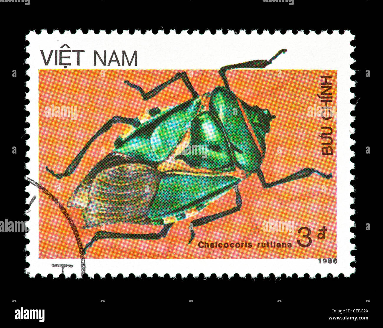 Postage stamp from Vietnam depicting a true bug (Chalcocoris rutilans) Stock Photo