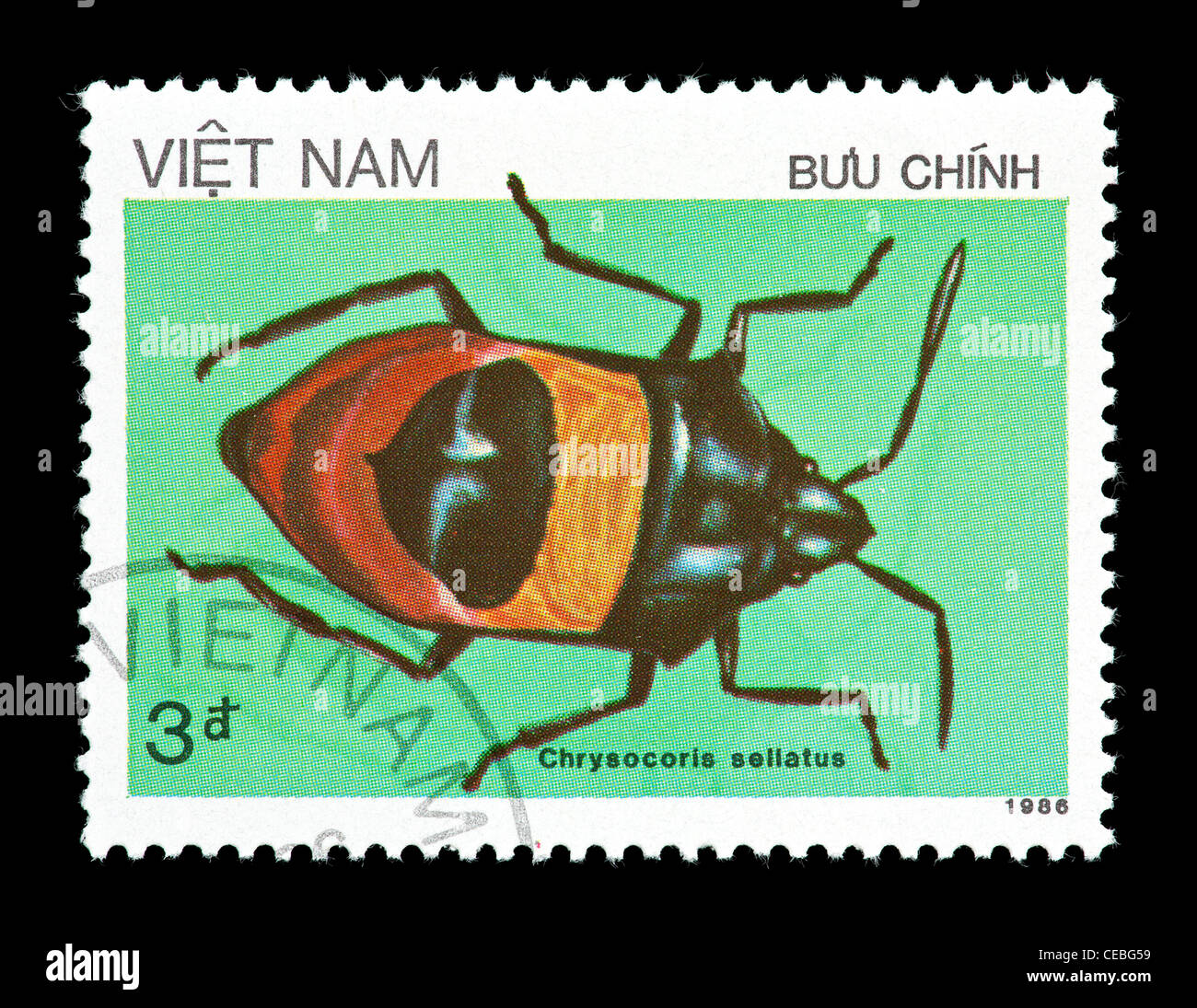 Postage stamp from Vietnam depicting a true bug (Chrysocoris sellatus) Stock Photo