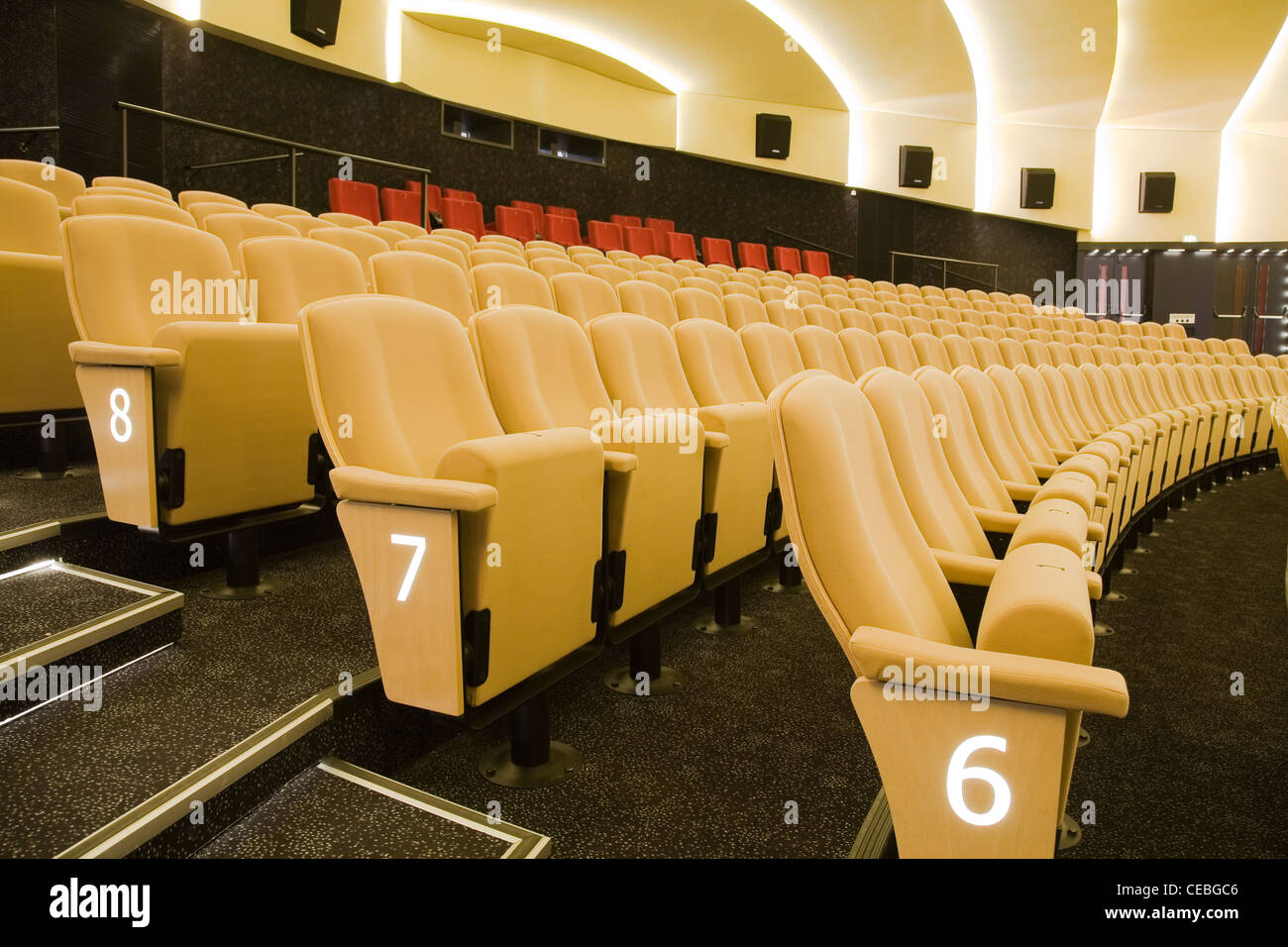 Empty cinema auditorium with line of chairs. Rows number 6 7 and