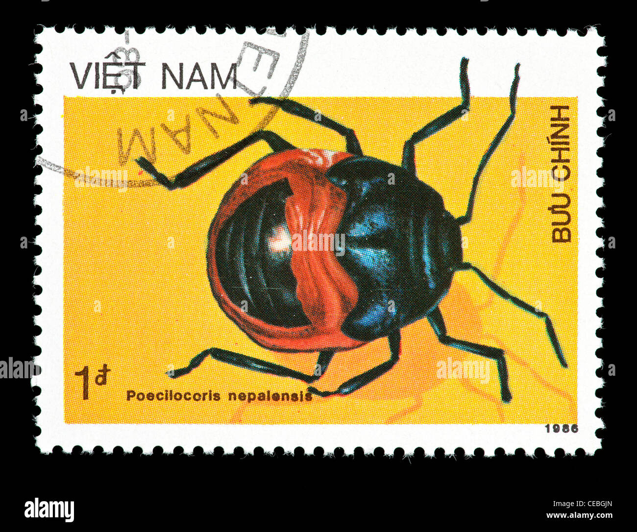 Postage stamp from Vietnam depicting a true bug (Poecilocoris nepalensis) Stock Photo