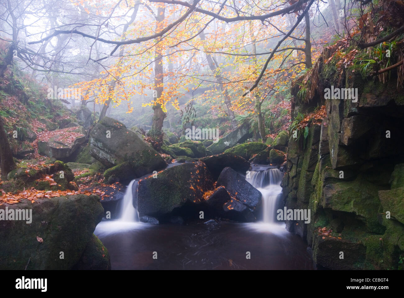 Autumn at the Waterfalls in Padley Gorge in the Peak District National Park Stock Photo