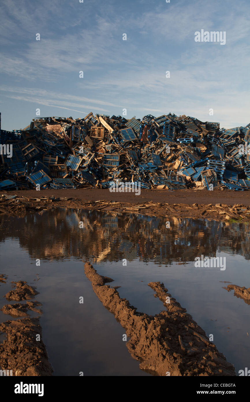 scrap pallets at a waste recycling centre Stock Photo Alamy