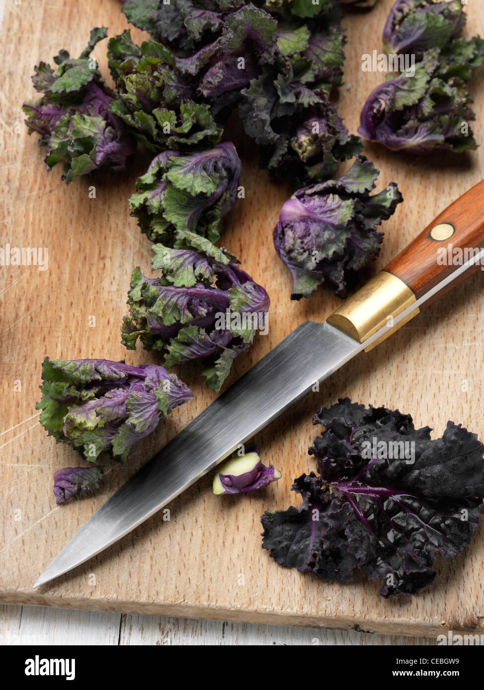 Flower sprout ingredients Stock Photo Alamy