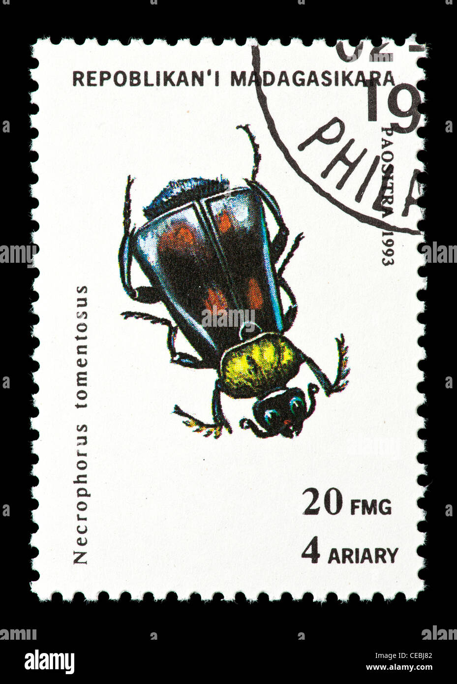 Postage stamp from the Malagasy Republic (Madagascar) depicting a beetle (Necrophorus tomentosus) Stock Photo