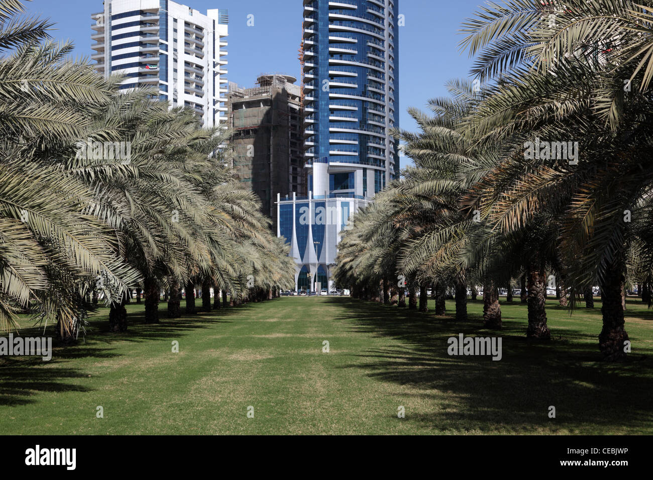 Palm Trees Park in Sharjah City, United Arab Emirates Stock Photo