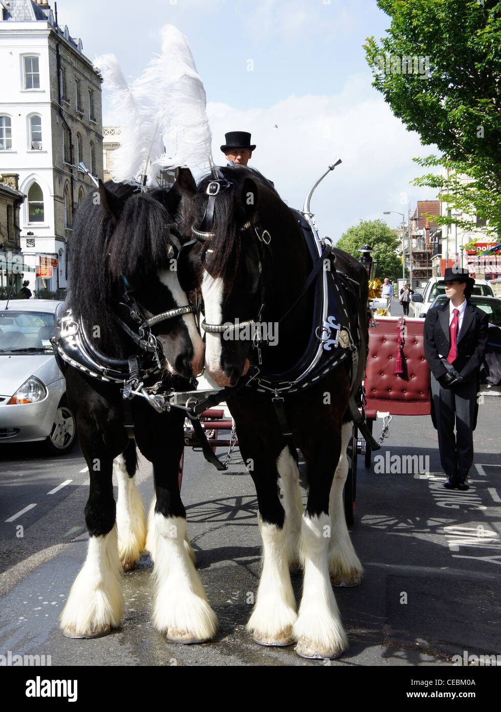 Shire horse and carriage Stock Photo - Alamy