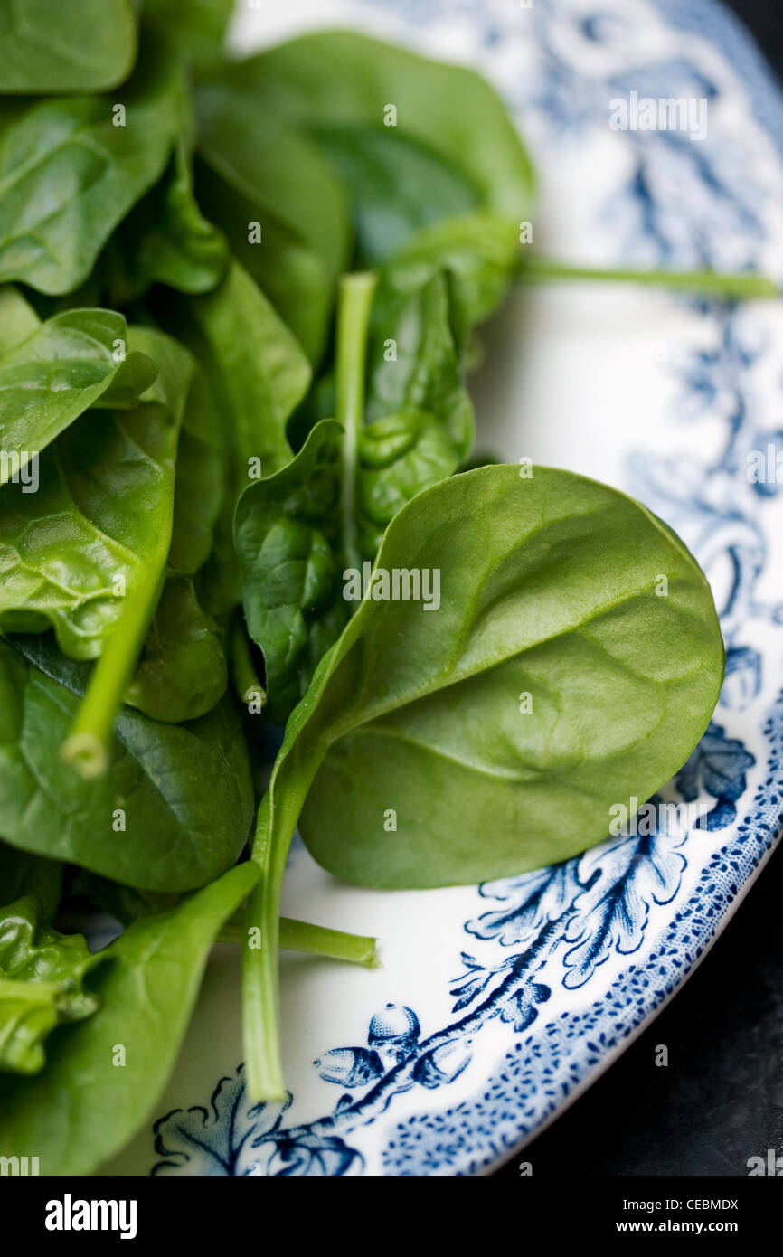 Baby spinach leaves Stock Photo Alamy