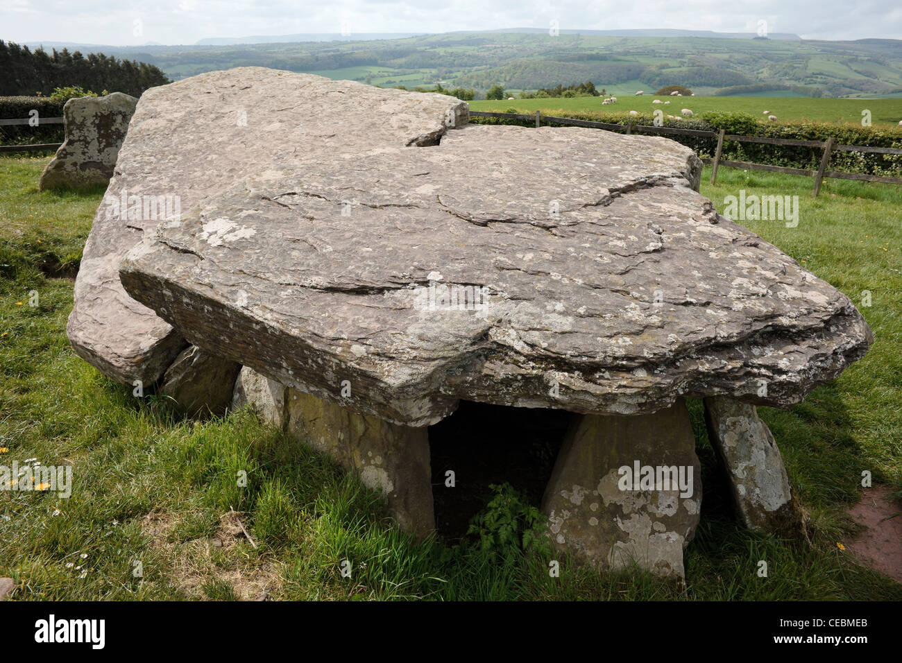 Arthur's Stone  in Dorstone Herefordshire; a Neolithic burial Chamber Stock Photo