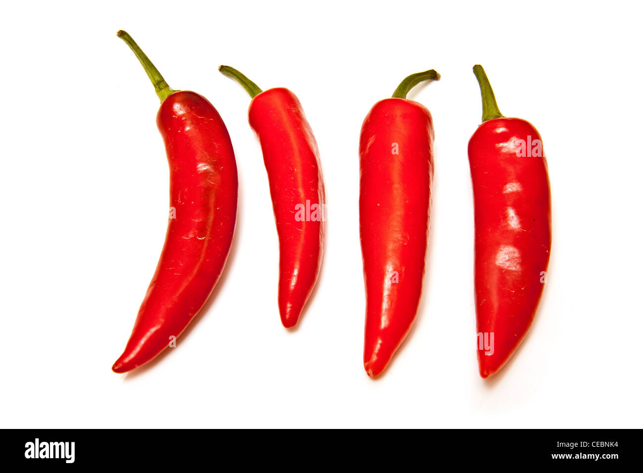 Red chili peppers isolated on a white studio background Stock Photo - Alamy