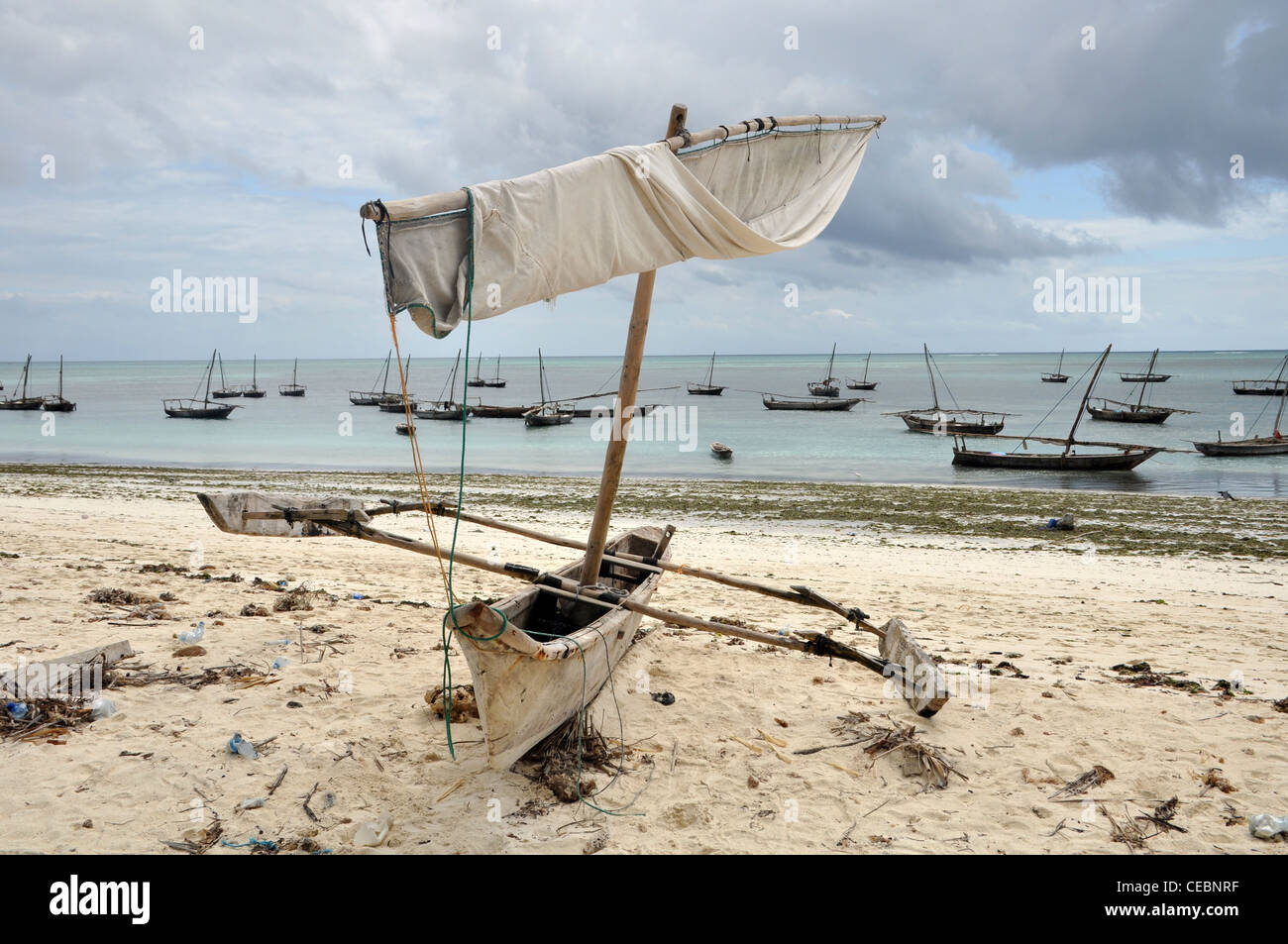 Traditional fishing boats at low tide in Zanzibar Stock Photo Alamy