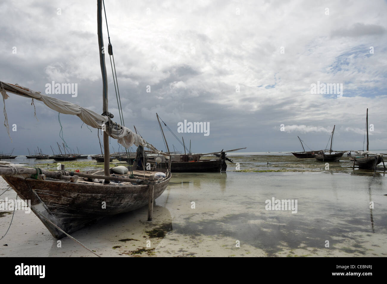 Traditional fishing boats at low tide in Zanzibar Stock Photo Alamy