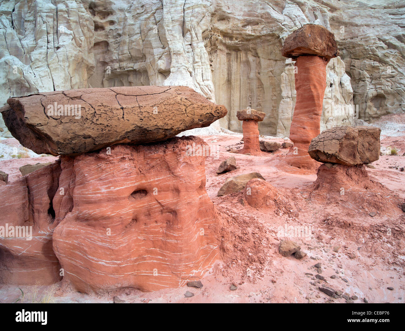 Hodoos at Toadstool formation in Escalante Staircase National Monument, Utah Stock Photo