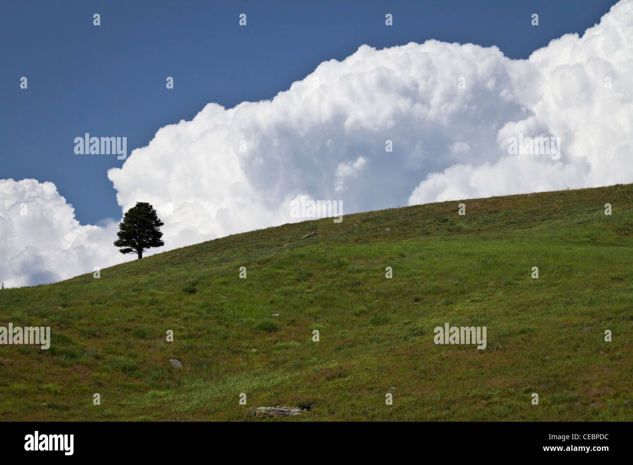 Beautiful picture from plain hi-res stock photography and images - Alamy