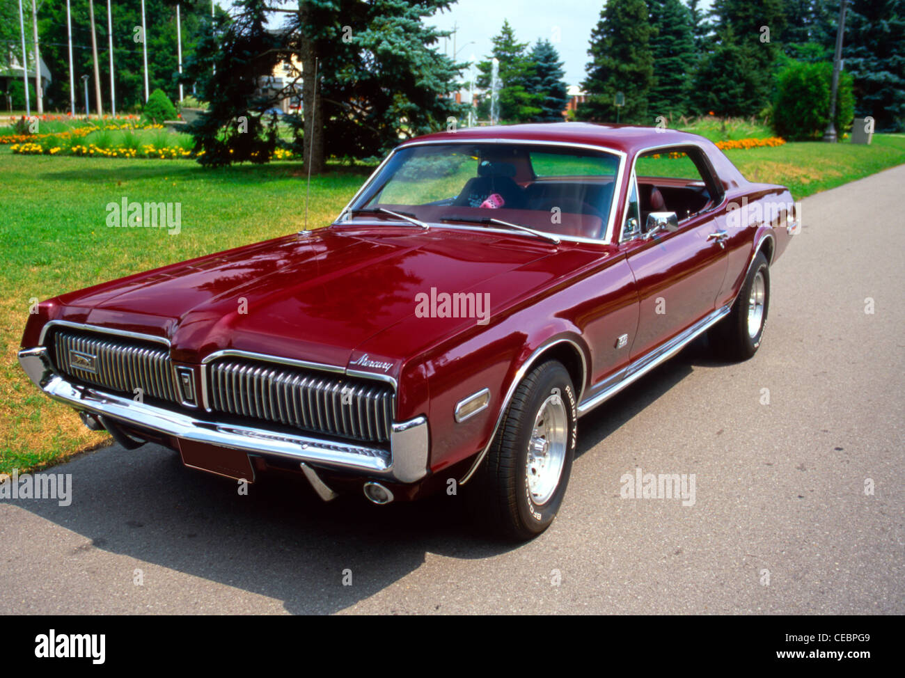 Ford cougar hi-res stock photography and images - Alamy