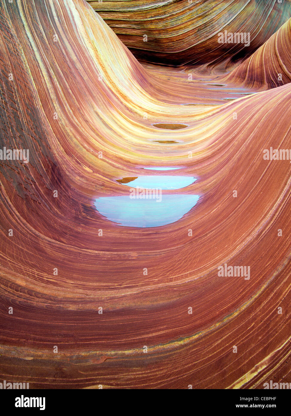 Sandtone Formation And Pool Of Water In North Coyote Buttes The Stock Photo Alamy