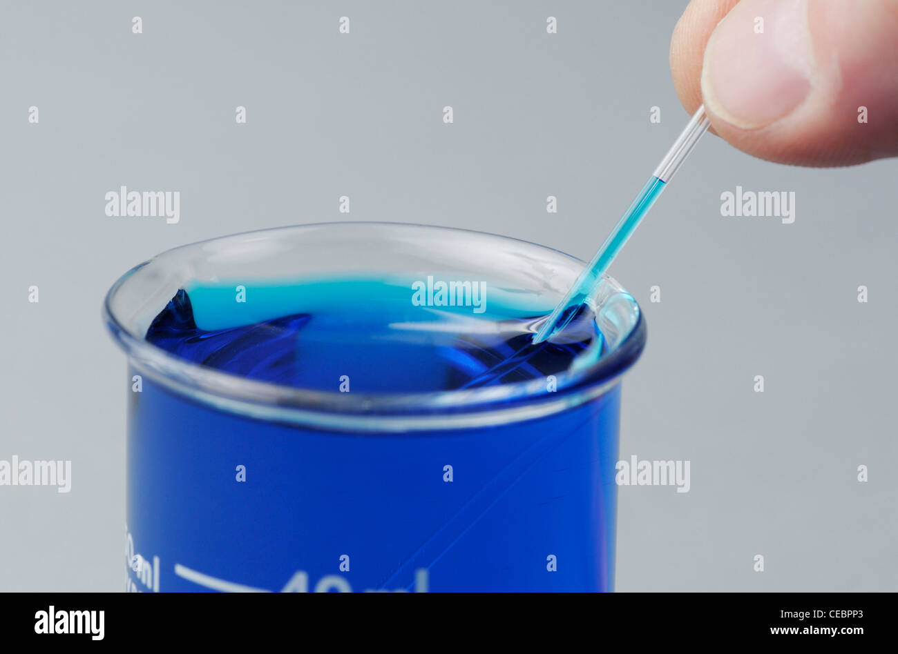 Blue colored water moves up a capillary tube demonstrating capillary action caused by adhesion (see description) Stock Photo