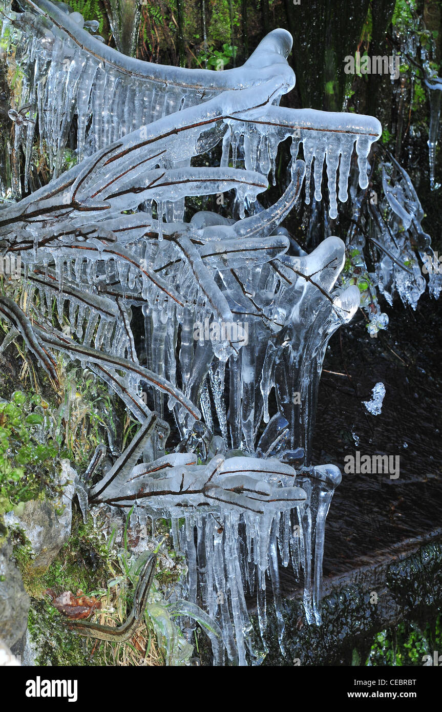 Ice glaze covers plants beside a small waterfall near Penmaenpool