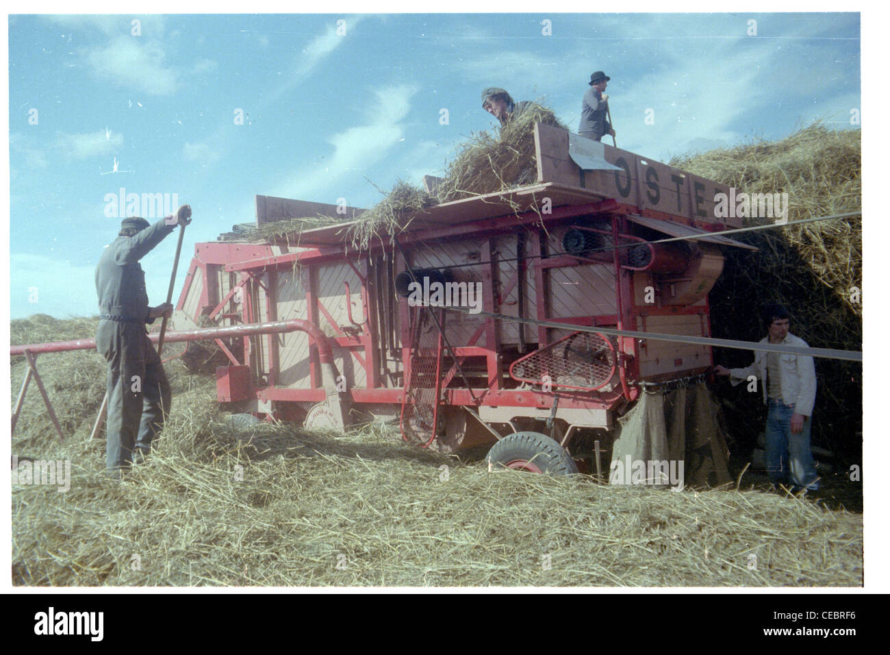 Threshing machine being used on Morton's farm in Holme on Spalding