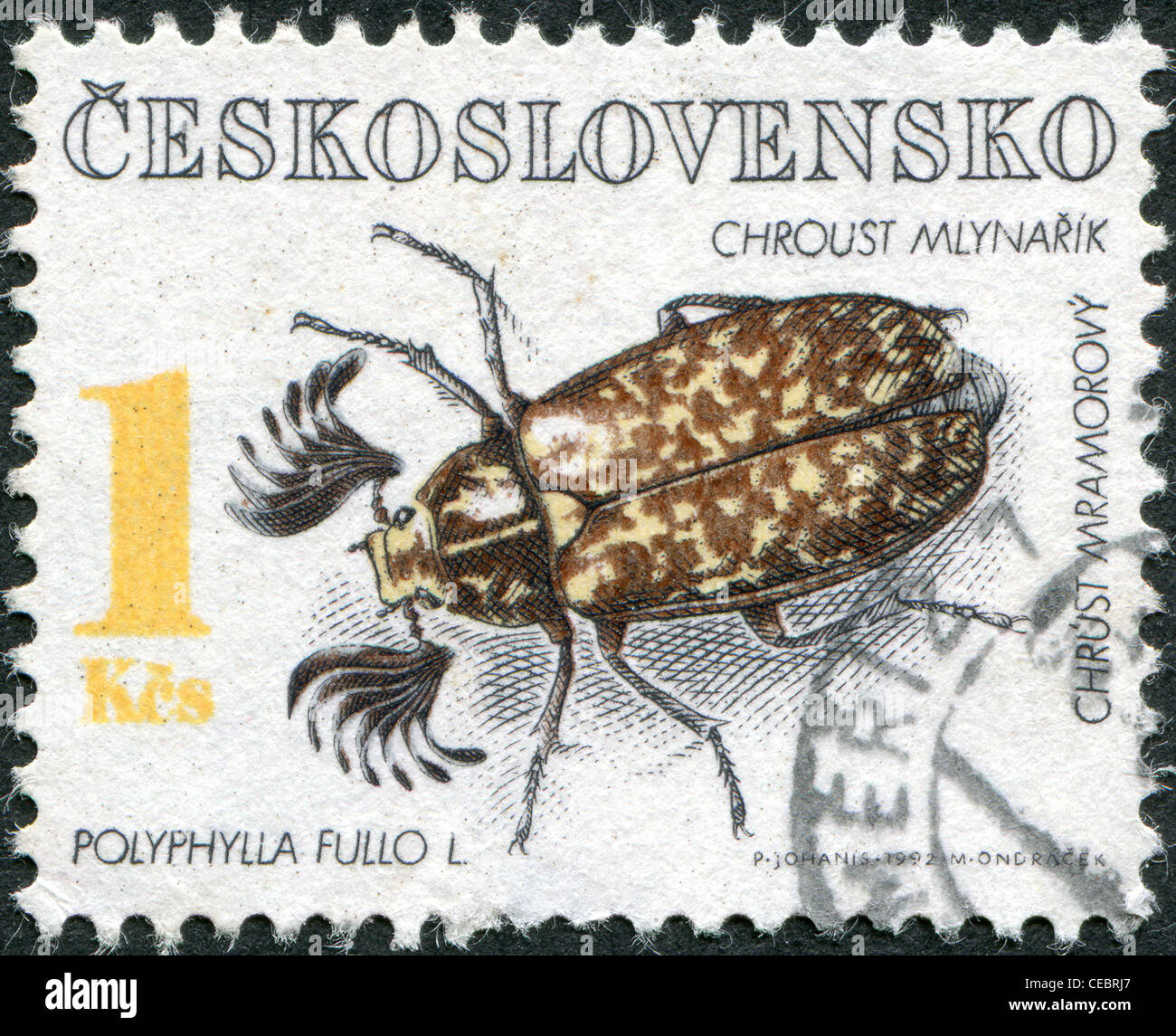 CZECHOSLOVAKIA - CIRCA 1992: A stamp printed in the Czechoslovakia, shows a beetle, Polyphylla fullo, circa 1992 Stock Photo