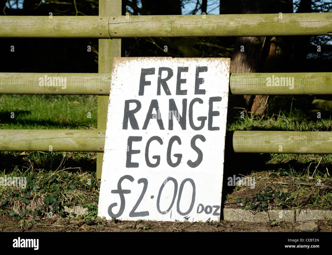 ' Free range eggs '  for sale sign Stock Photo