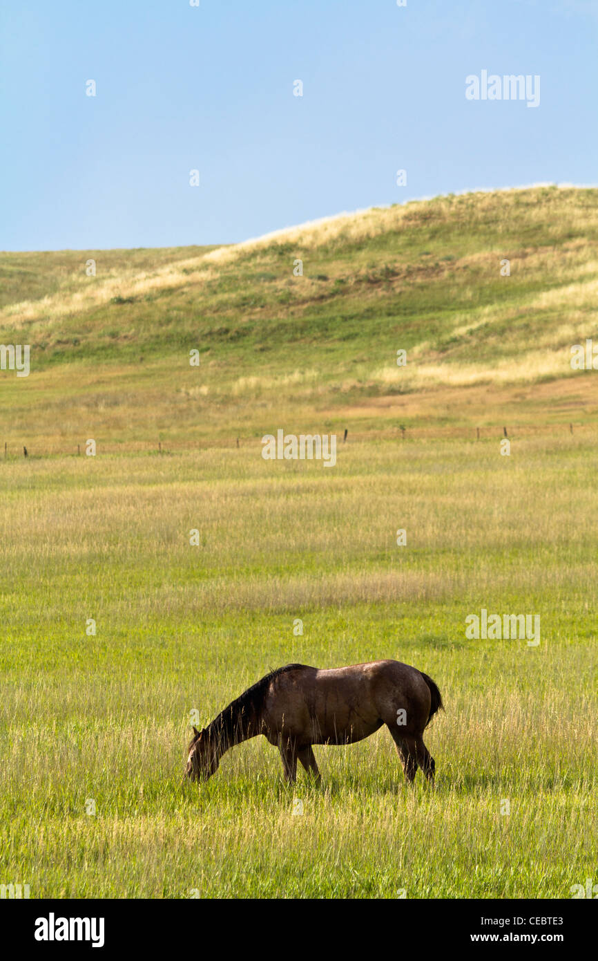 Indian farming usa hires stock photography and images Alamy
