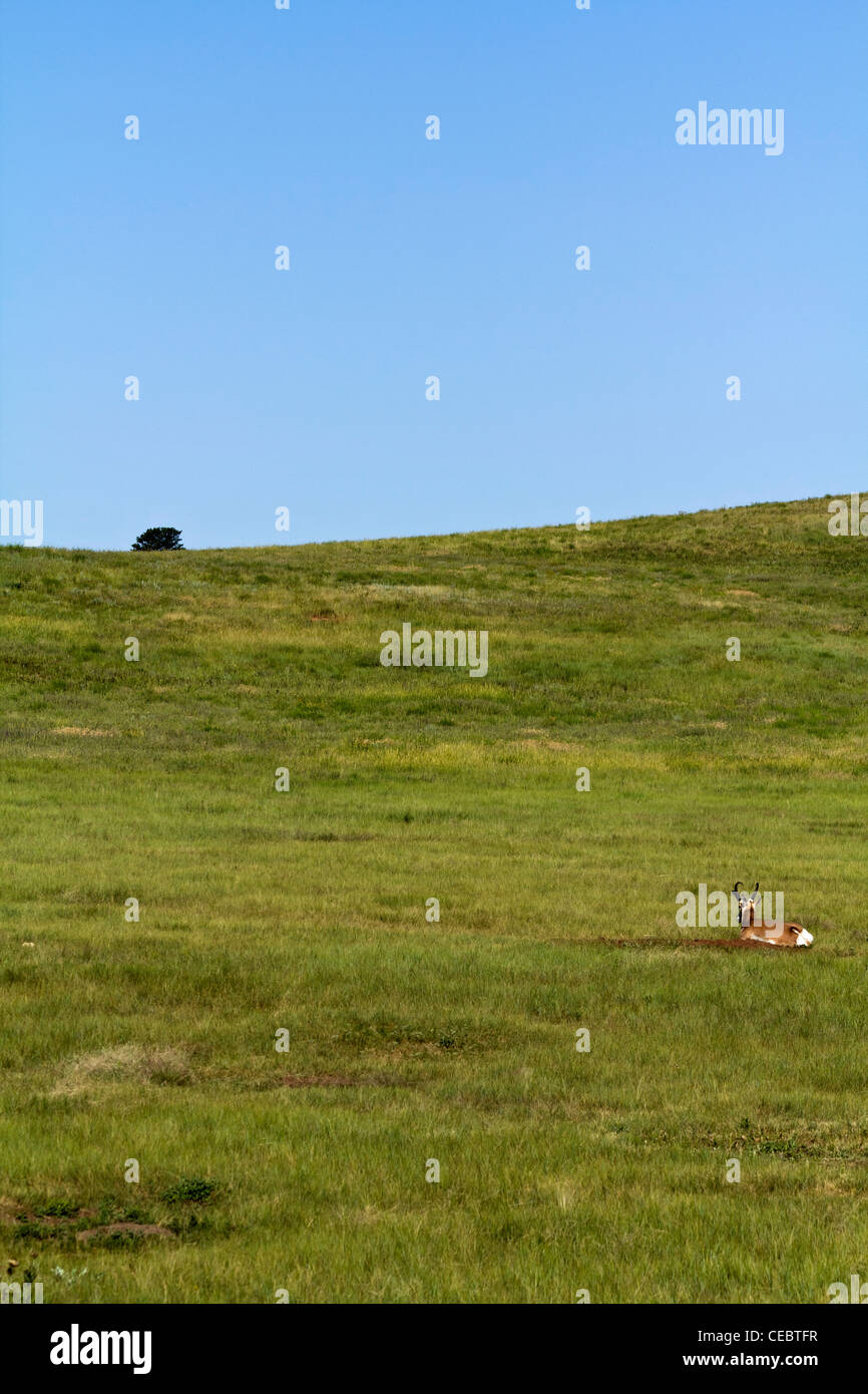 American lakota prairie landscape oglala hi-res stock photography and ...