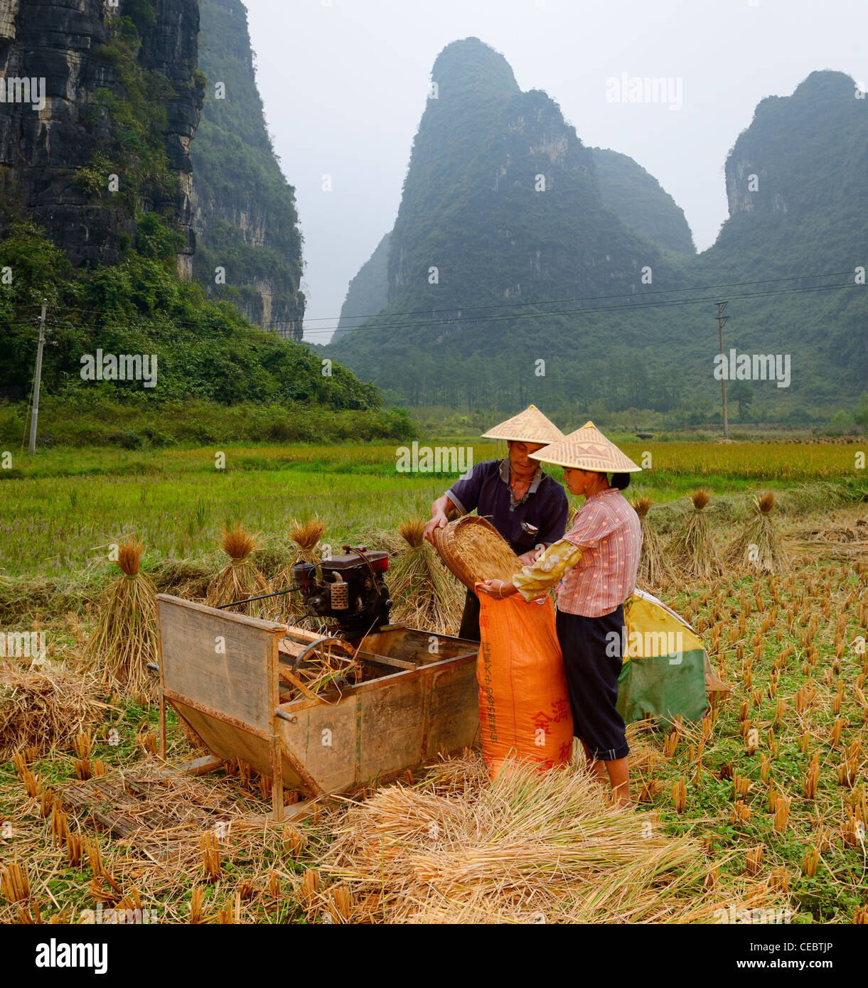 Husband and wife farmers bagging harvested rice crop in field with Karst limestone peaks near Yangshuo Peoples Republic of China Stock Photo