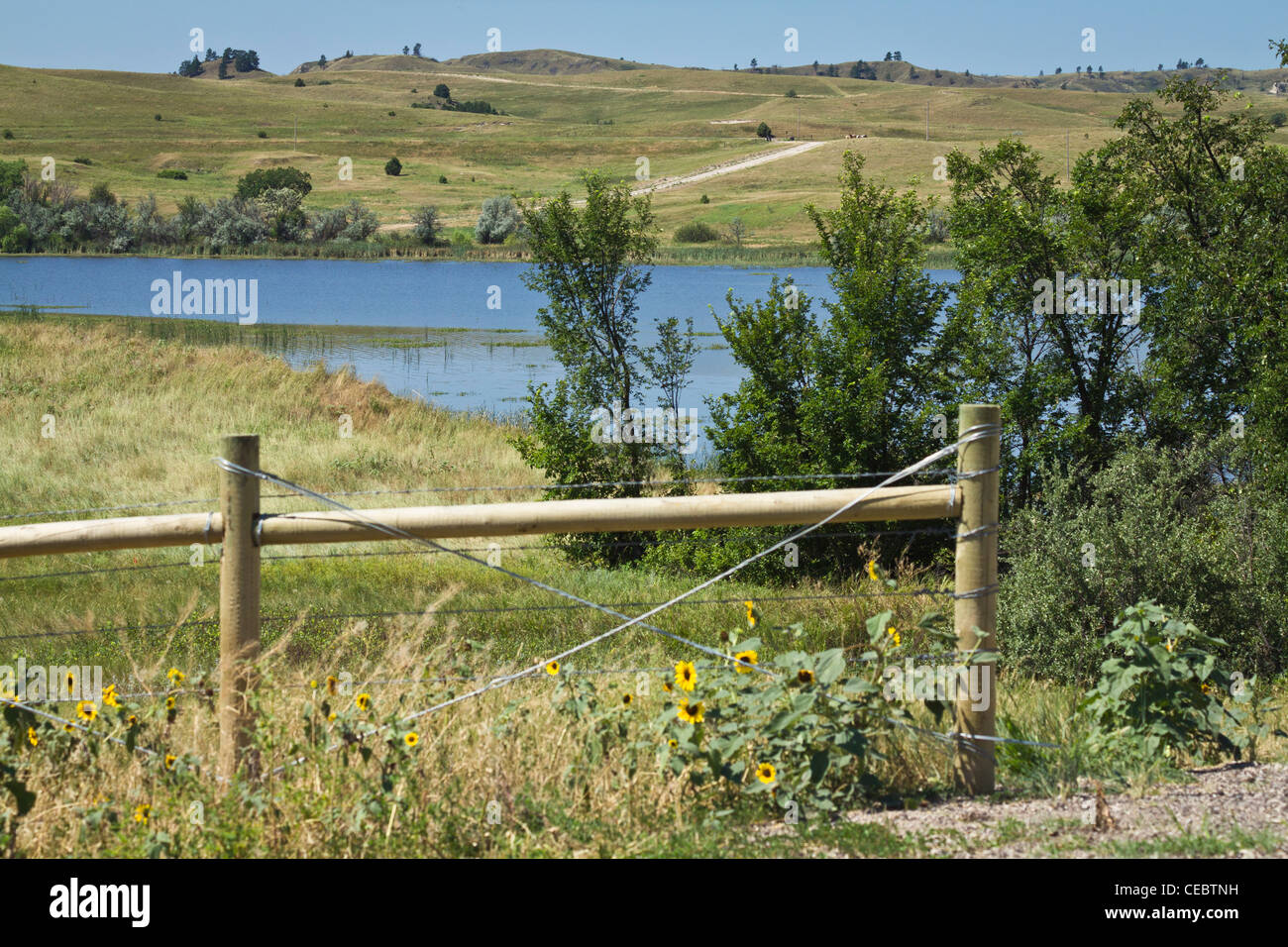 Dakota tribe art hires stock photography and images Alamy