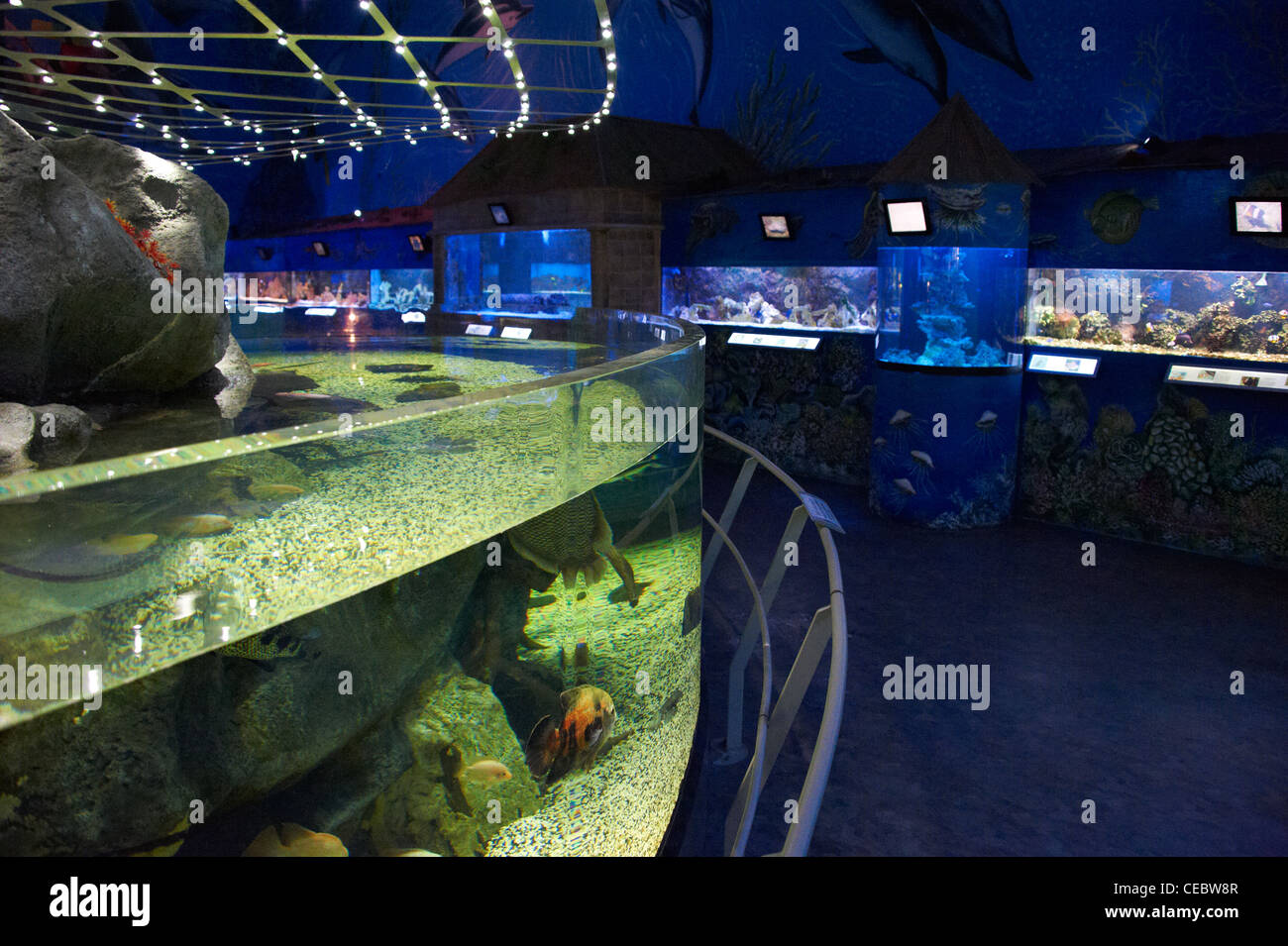 Sea World aquariums Prague Czech Republic Stock Photo - Alamy