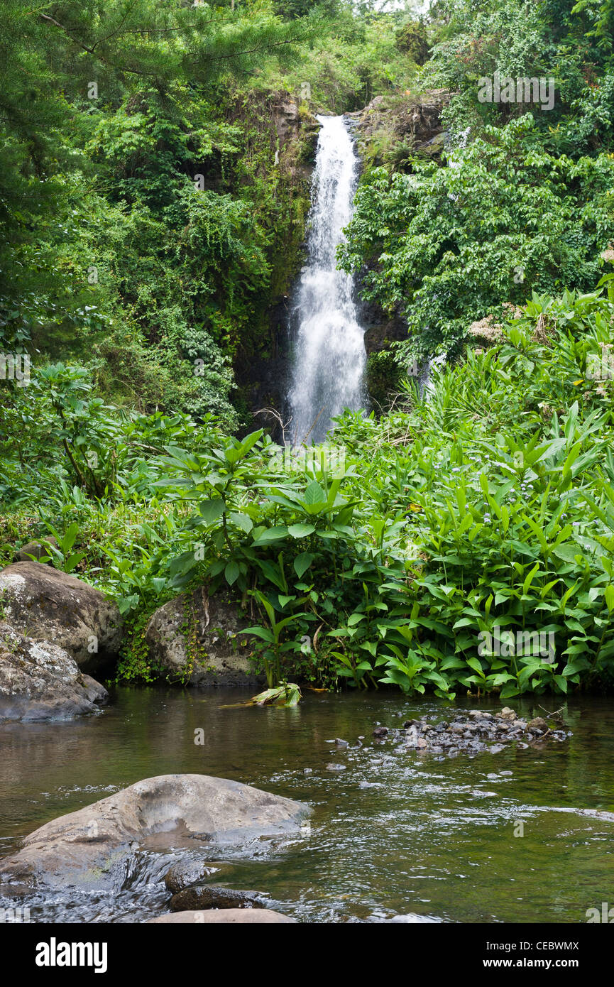Waterfall in Marangu Kilimanjaro  Tanzania Stock Photo
