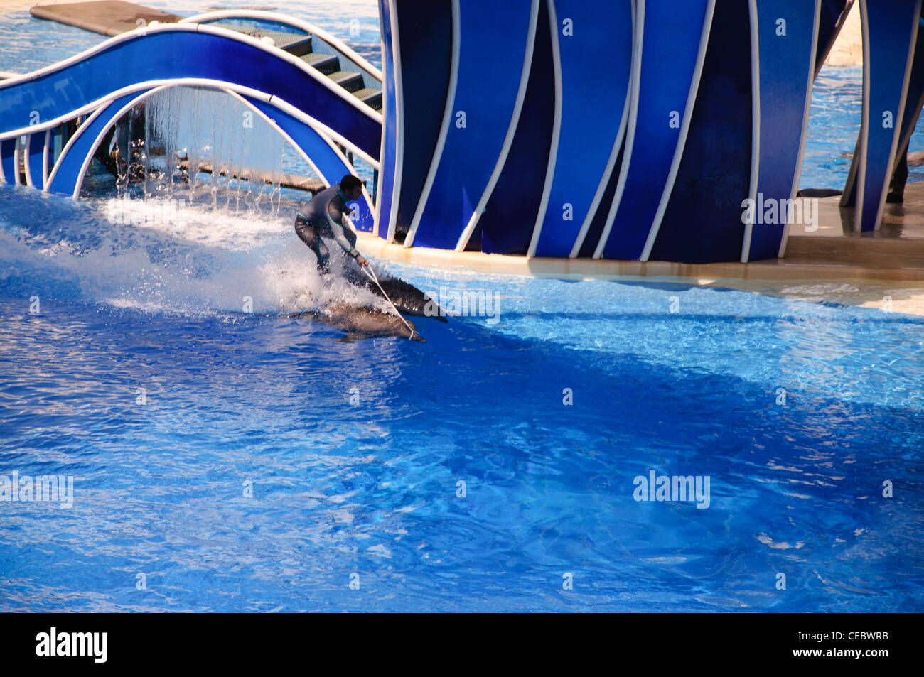 believe show with shamu at seaworld orlando florida Stock Photo