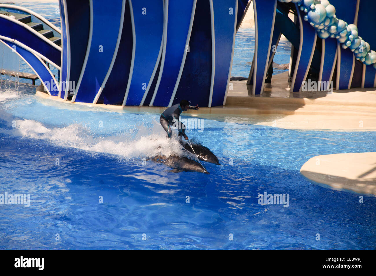 believe show with shamu at seaworld orlando florida Stock Photo