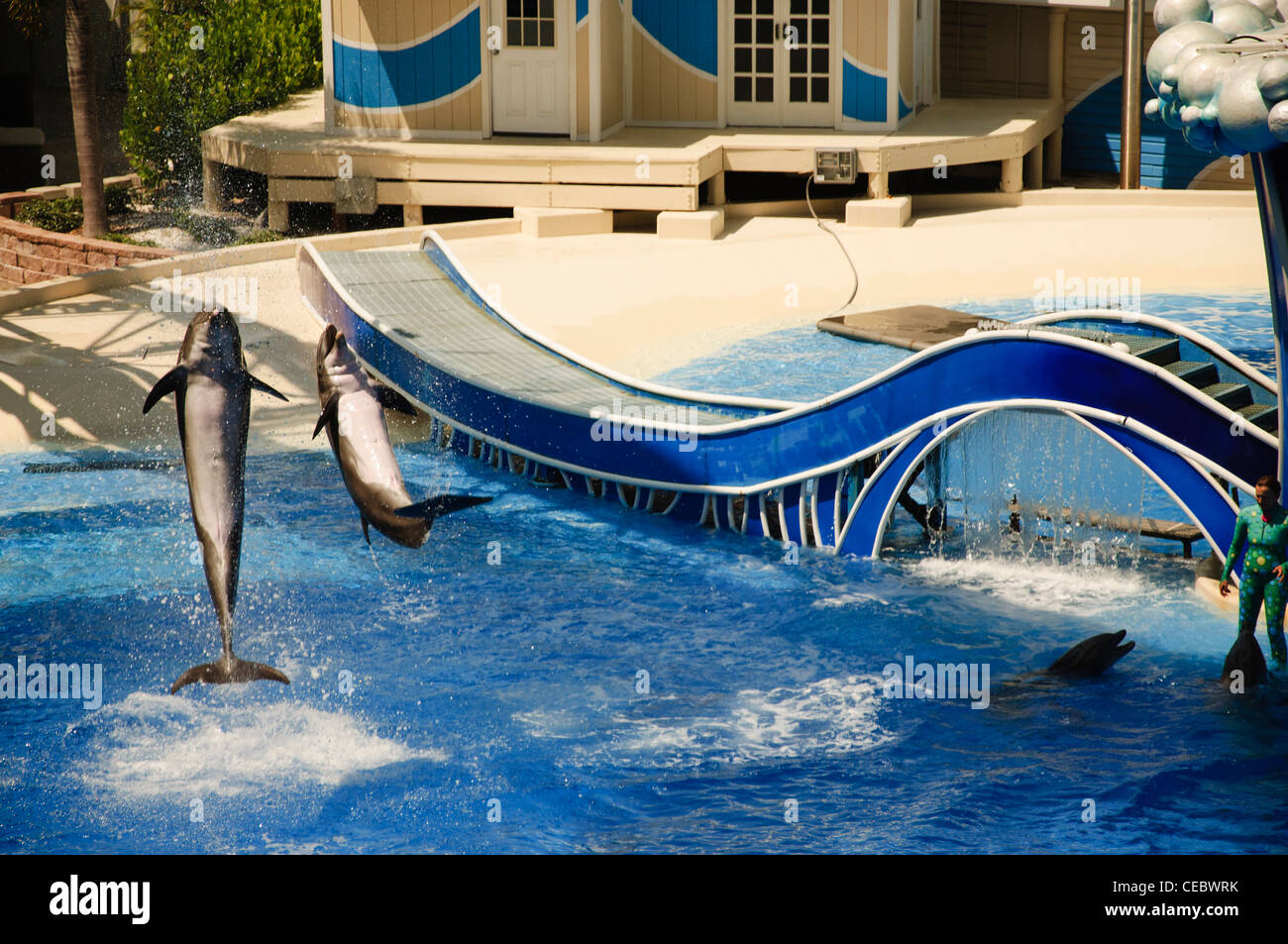 believe show with shamu at seaworld orlando florida Stock Photo