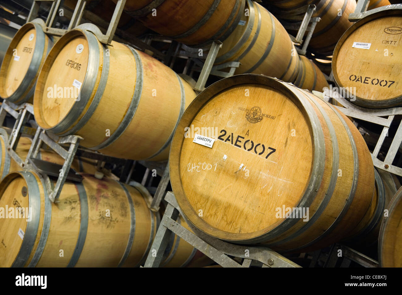 Oak wine barrels in the renowned wine region of Margaret River, Western