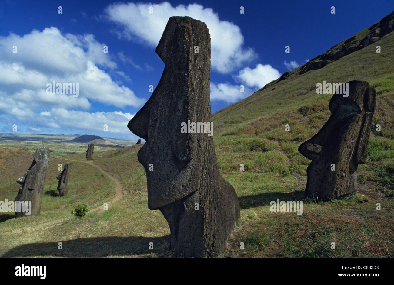 Moais onRano Raraku volcano,Easter Island Chile Stock Photo Alamy
