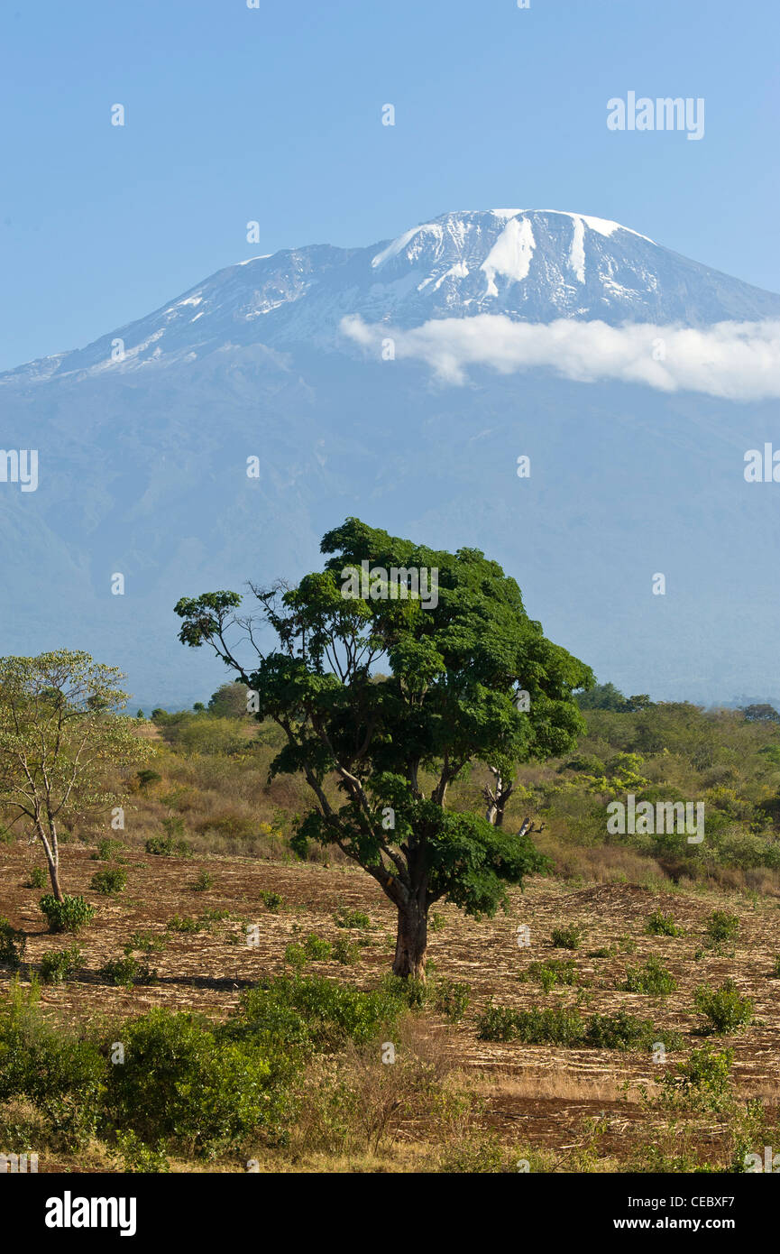 Kilimanjaro as seen from Moshi in Tanzania Stock Photo