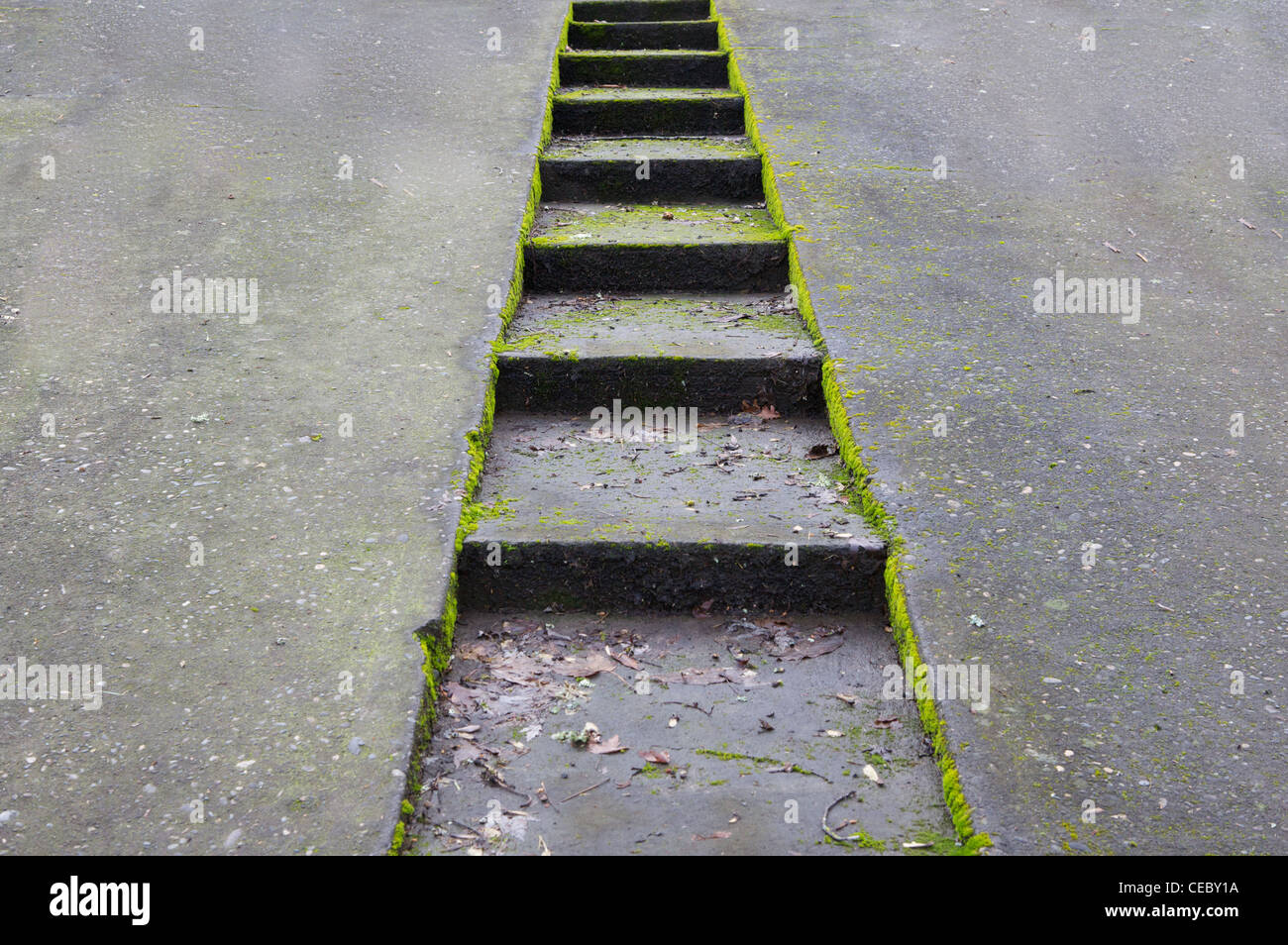 Green moss encrusted concrete driveway with sunken stairway Stock Photo
