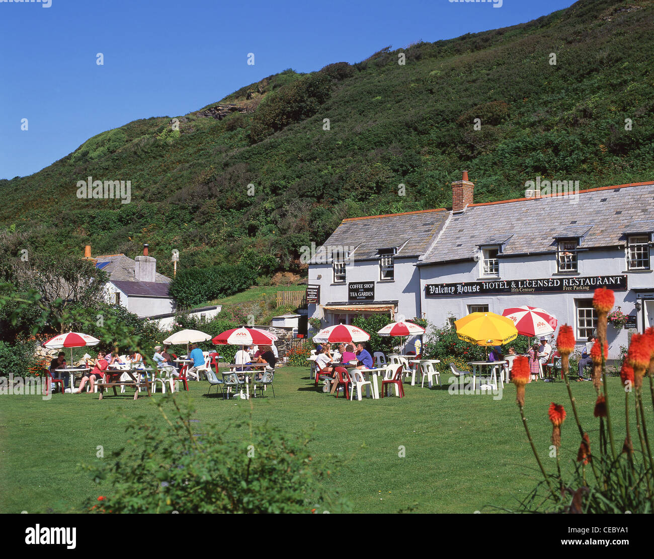 16th century Valency House tea garden, Boscastle, Cornwall, England, United Kingdom Stock Photo