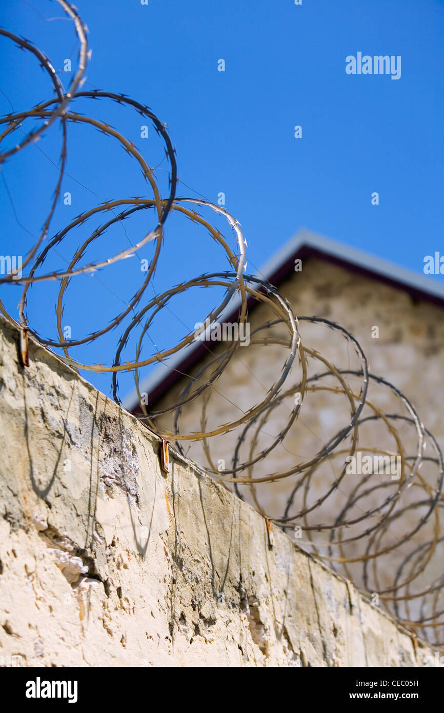 Barbed on sale wire australia