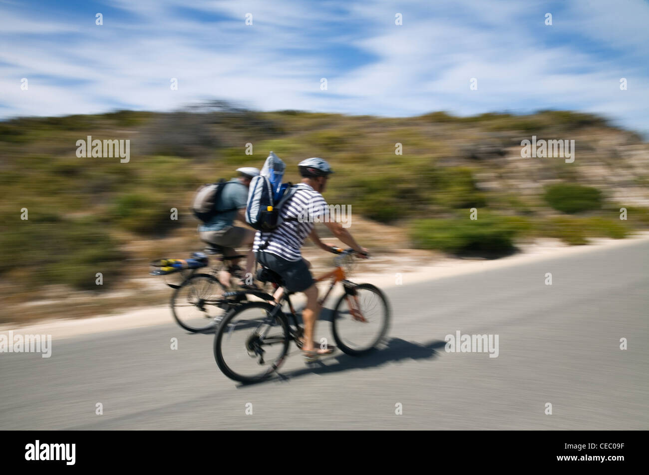 Tourists exploring Rottnest Island by bicycle. Rottnest Island, Western ...
