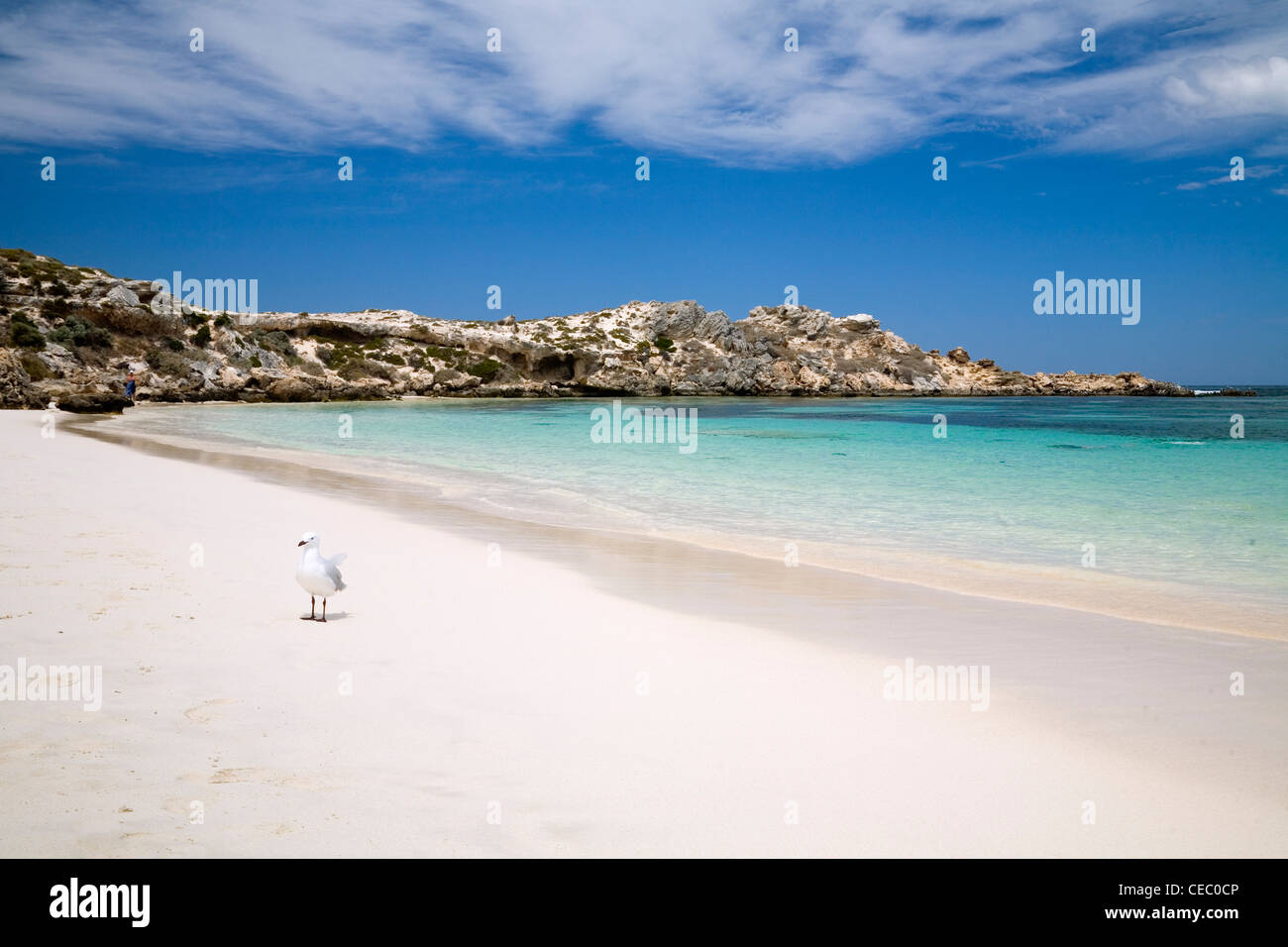 White sand and clear waters of Salmon Bay on Rottnest Island, Western Australia, AUSTRALIA Stock Photo